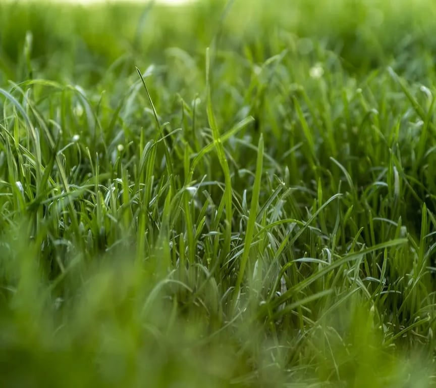 Browder’s 3278 Marina