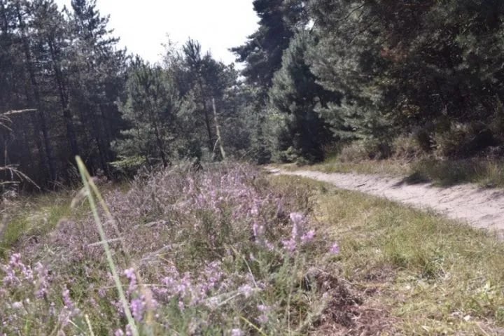 Camping Buitenlust gallery 1