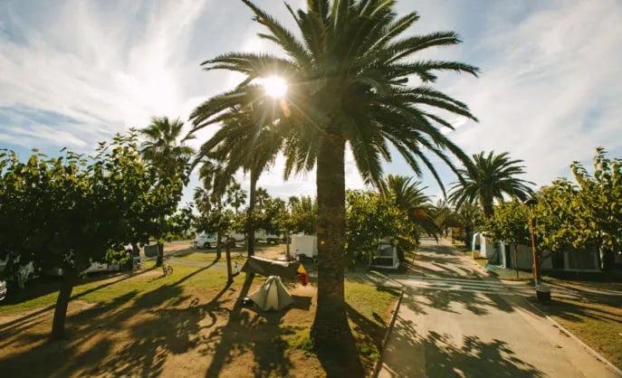 Camping las Palmeras gallery 3