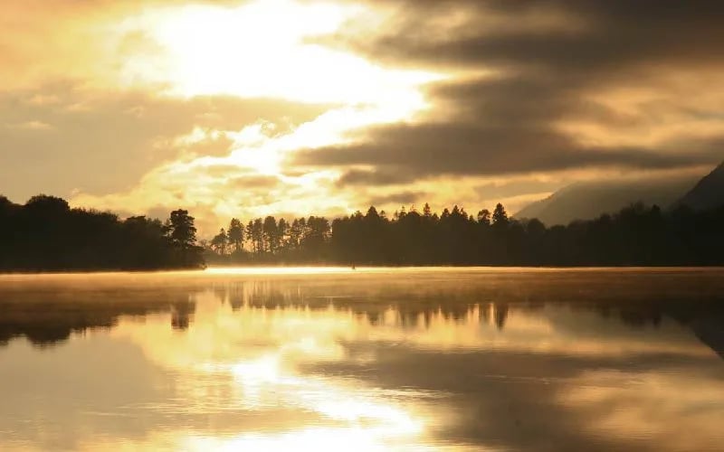 BCC Loch Ness Log Cabins gallery 3