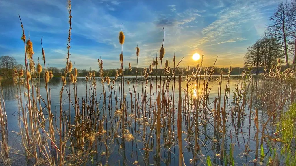 Campingplatz Hartensbergsee gallery 3