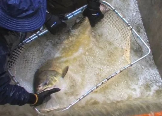 Indian Creek RV Park gallery 3