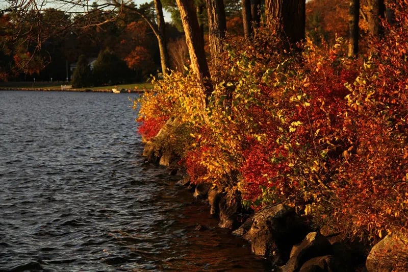 Clearwater Lodges gallery 1