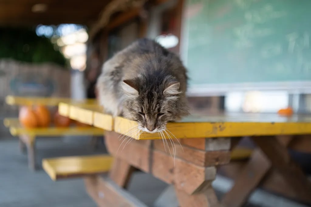 Jetty Fishery Marina & RV Park gallery 1