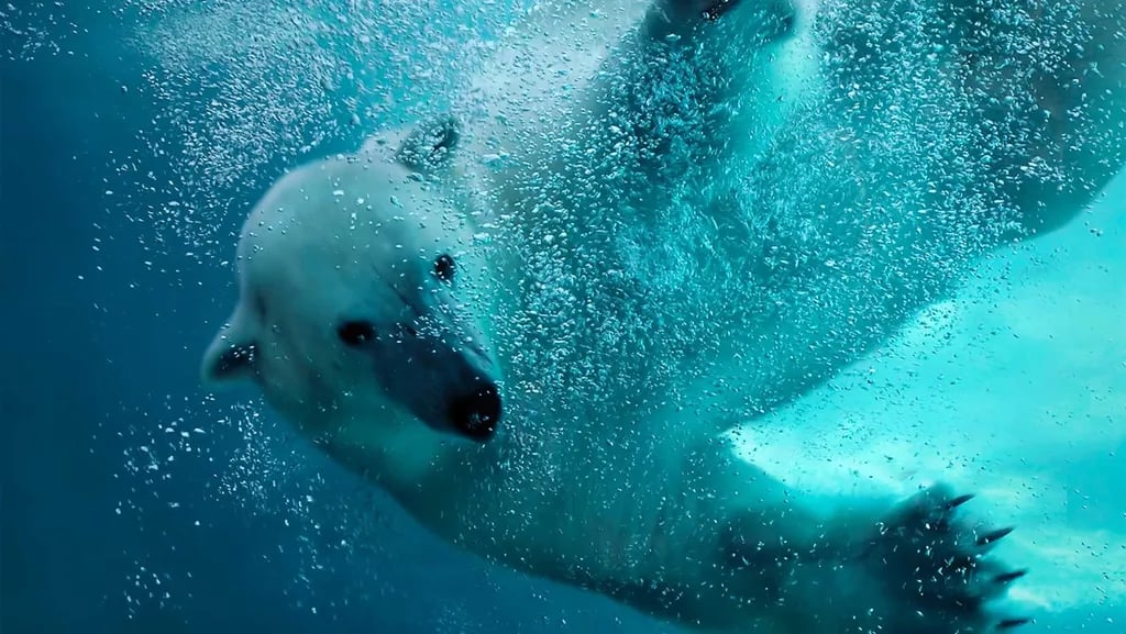 Molecaten Park Kuierpad gallery 1