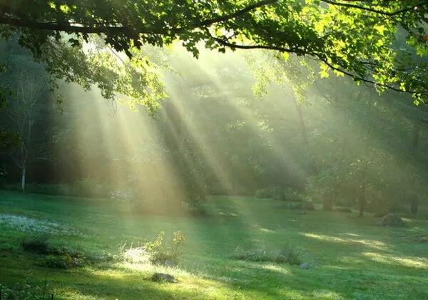 Campingplatz Bad Stuer gallery 3