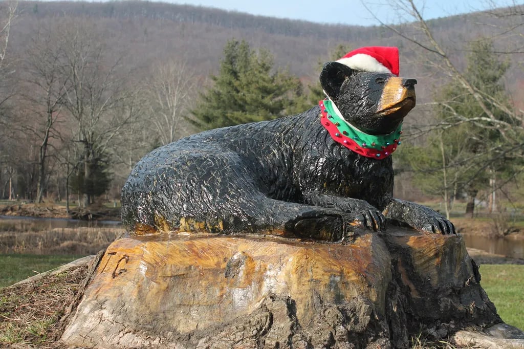 Mountain Creek Camp Ground