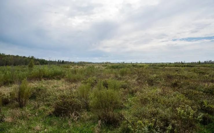 Pershing State Park Campground gallery 2