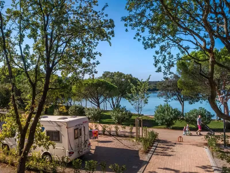 Camp Veštar gallery 4