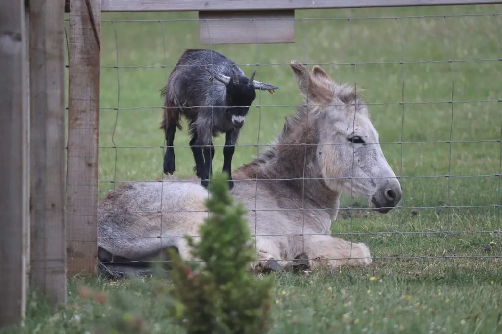Greenway Farm Caravan and Camping Park gallery 3