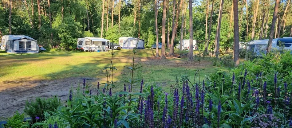 Camping ‘t Witte Zand gallery 3
