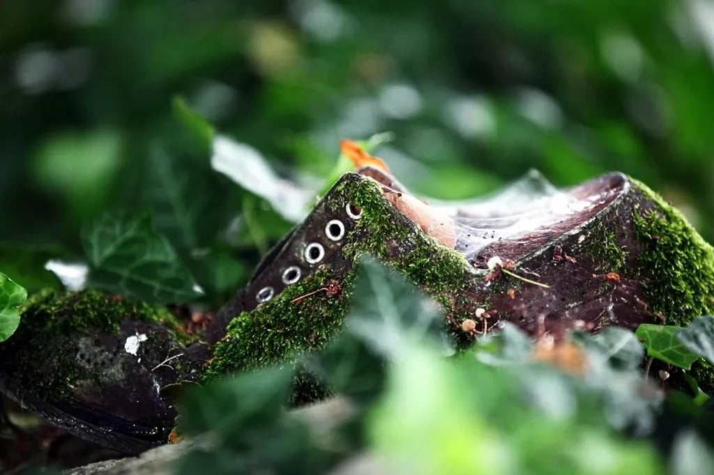 Aire Naturelle de Camping du Toy gallery 1