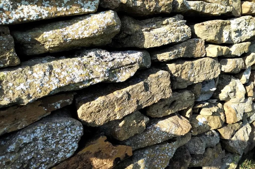 West Fleet Holiday Farm gallery 2