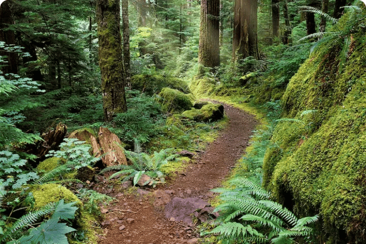 Springer Mountain Shelter gallery 3
