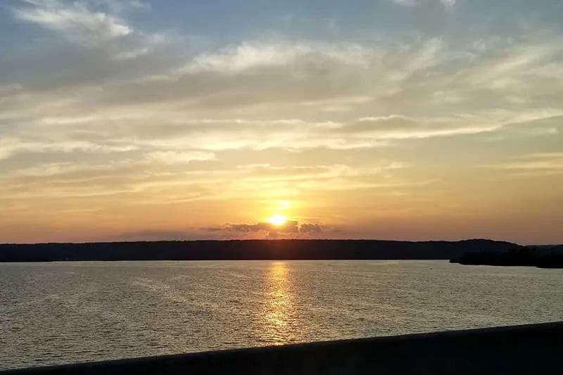 Blue Heron Paradise gallery 2