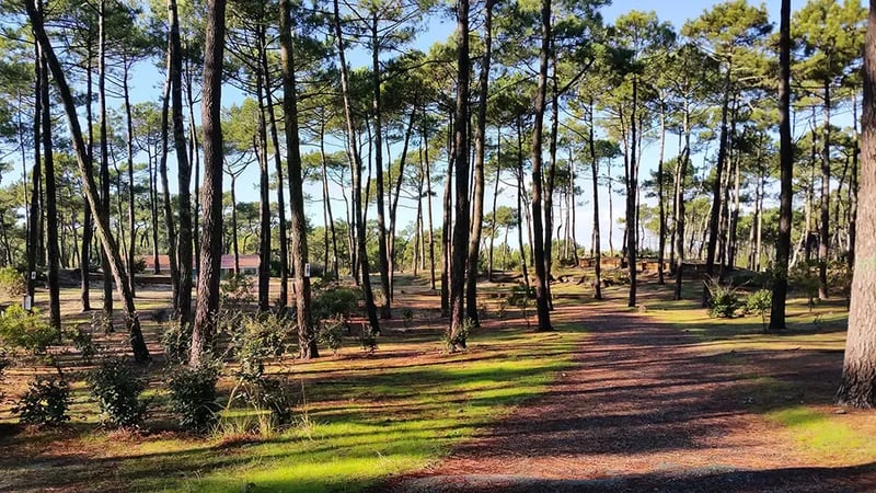 Camping Municipal De La Plage Du Cap De L’homy gallery 3