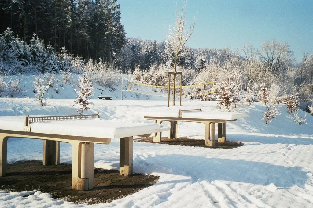 Camping Waldsee gallery 3