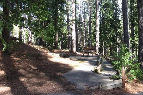 Jenkinson Campground—Sly Park Recreation Area gallery 3