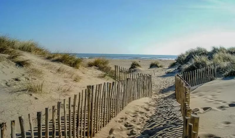 Camping La Plage et du Bord de Mer gallery 2
