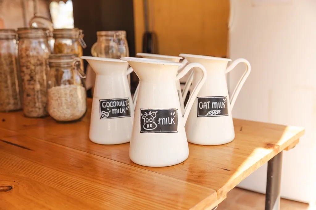 Sea Natives Surf Camp gallery 3