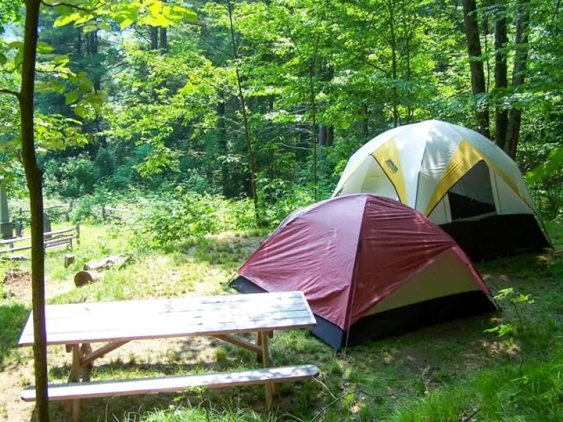 Zoar Outdoor gallery 1