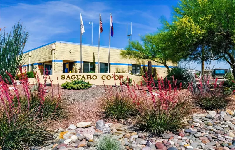 SKP Saguaro Co-Op gallery 1