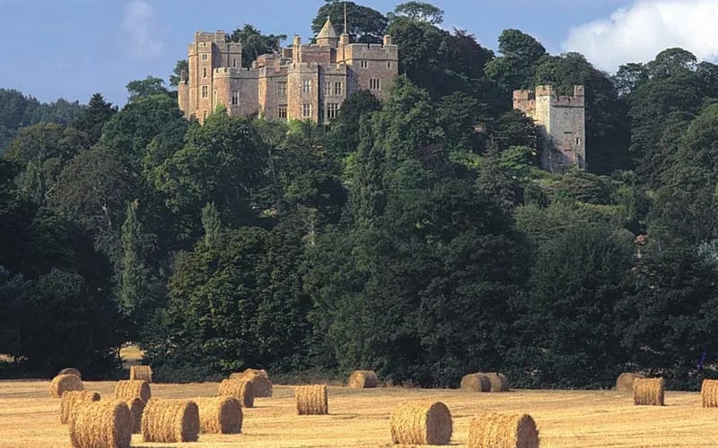 Ashe Farm Caravan and Campsite gallery 2