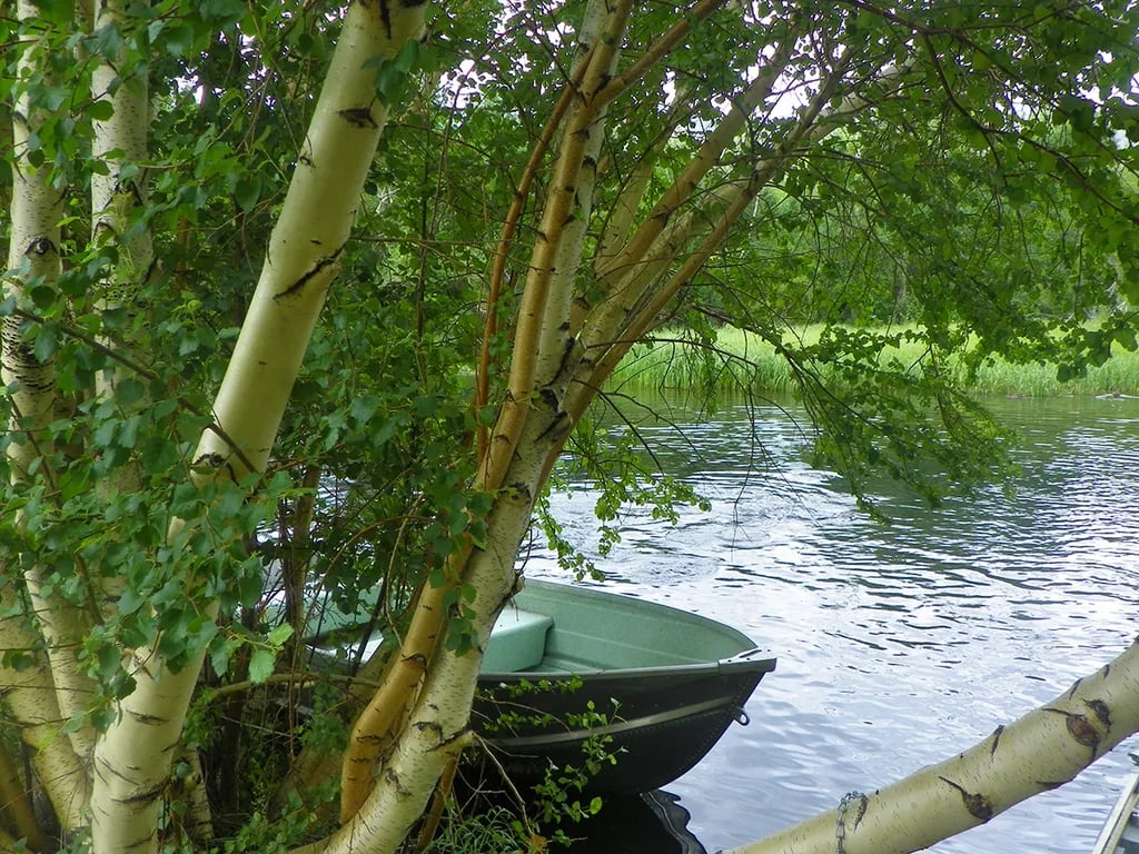 McGee Creek RV Park & Campground