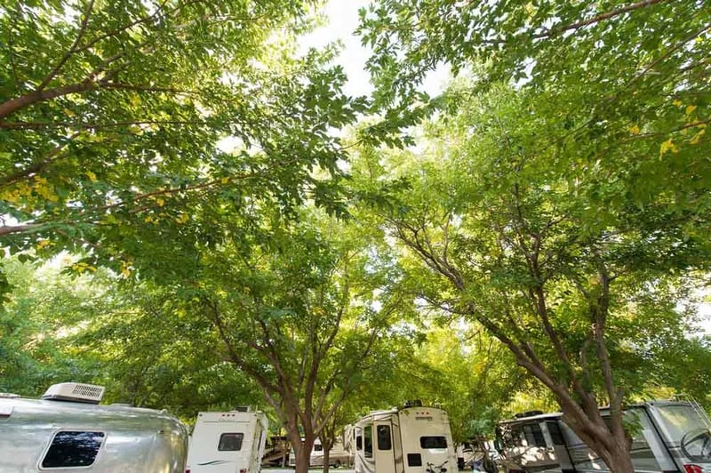 WillowWind RV Park gallery 2