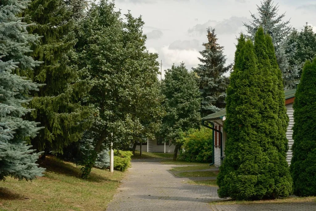 Camping Malta gallery 2