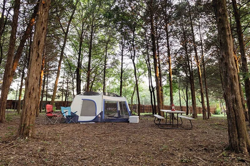 Cedar Hill Amphitheater gallery 2