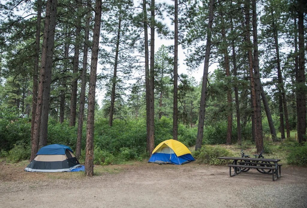 Mancos State Park Campground gallery 1