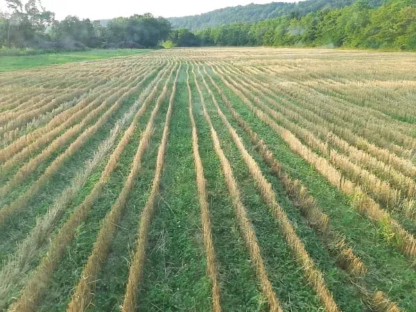 Campingplatz Freizeitinsel gallery 2