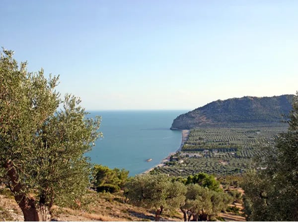 Centro Vacanze la Bussola gallery 3