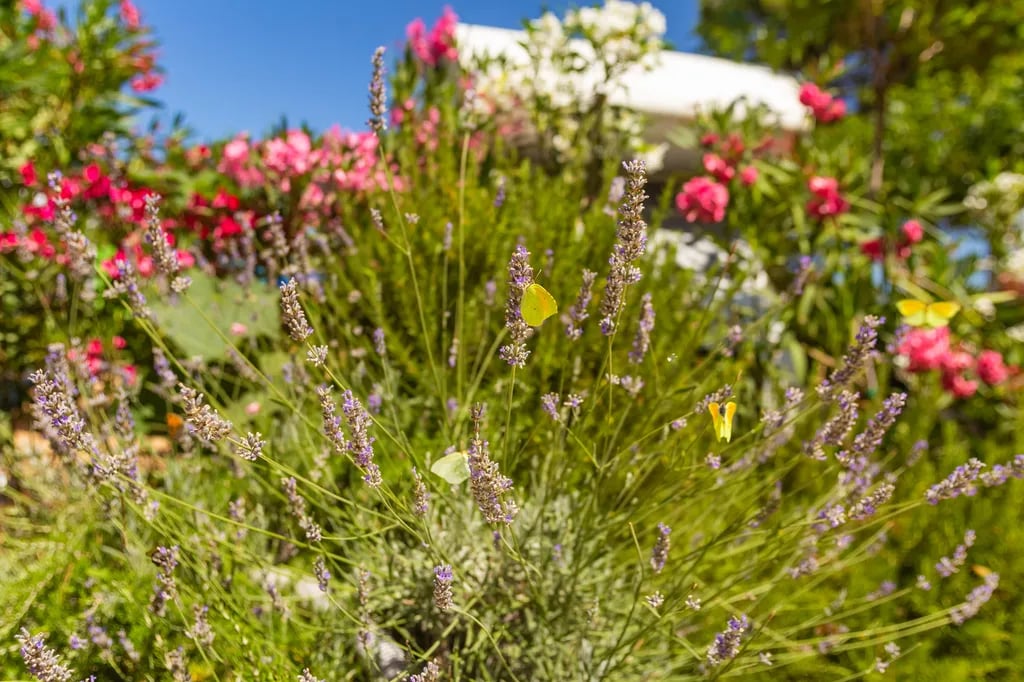 Camp KARGITA gallery 3