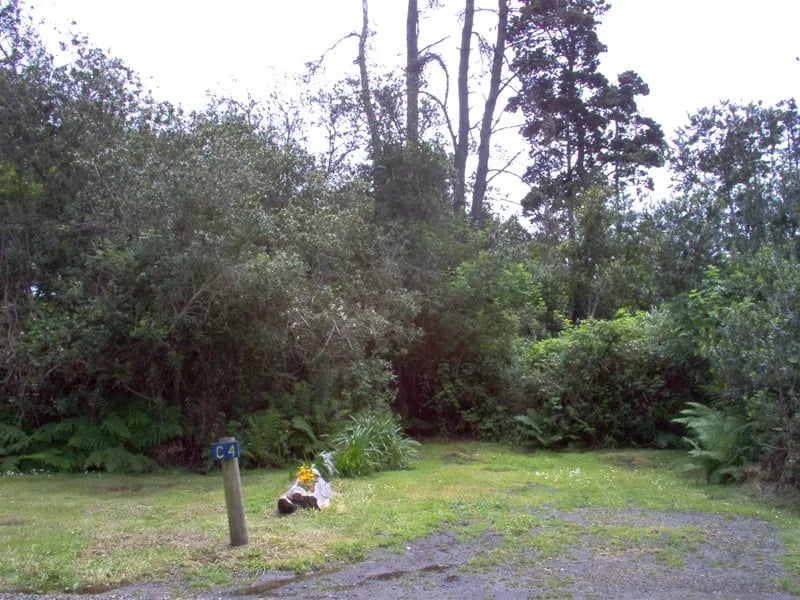 Woodside RV Park gallery 1