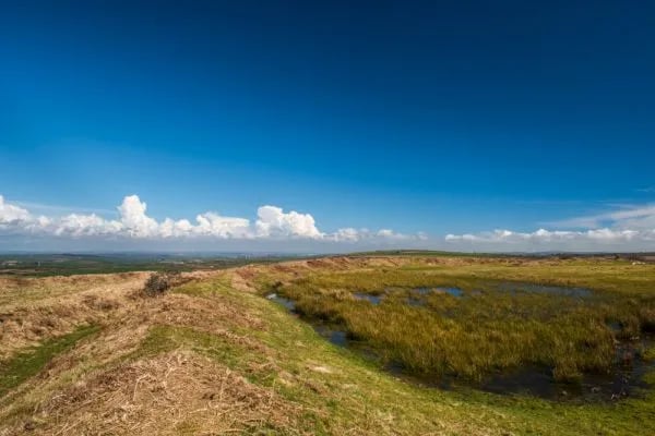 Tregonetha Lake gallery 3