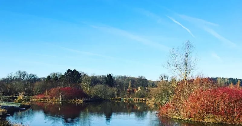 Lodge on a Lake gallery 1