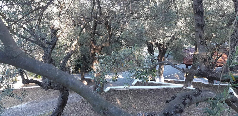 Kastri Beach Camping gallery 1