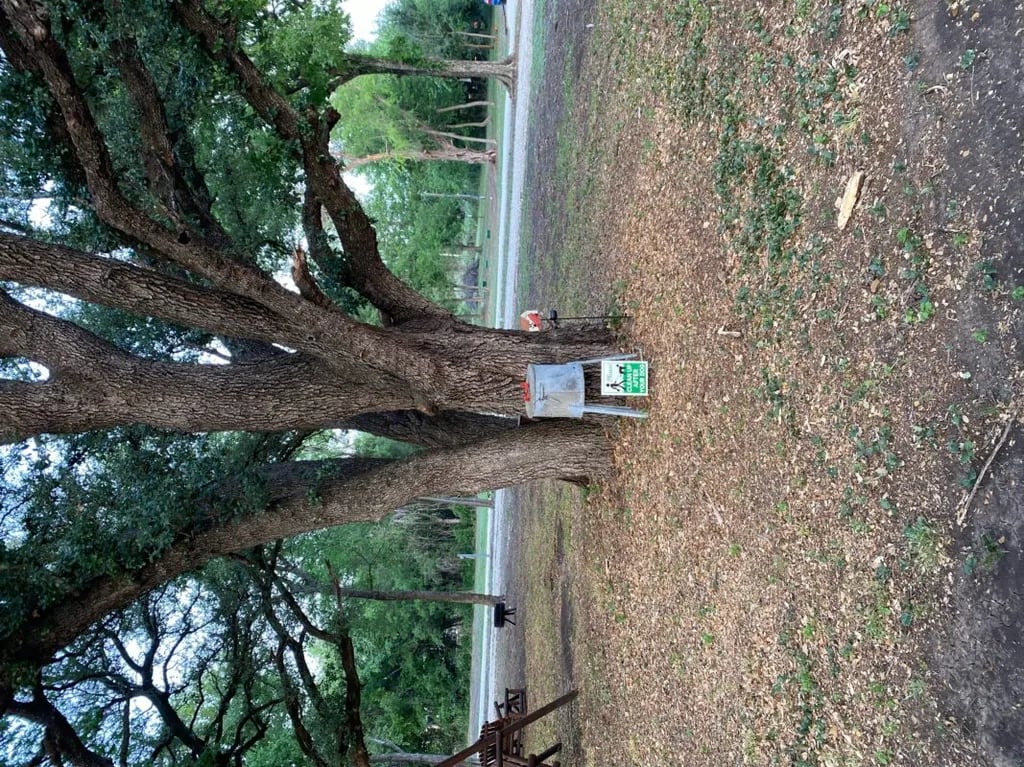 Clifton RV Park gallery 1