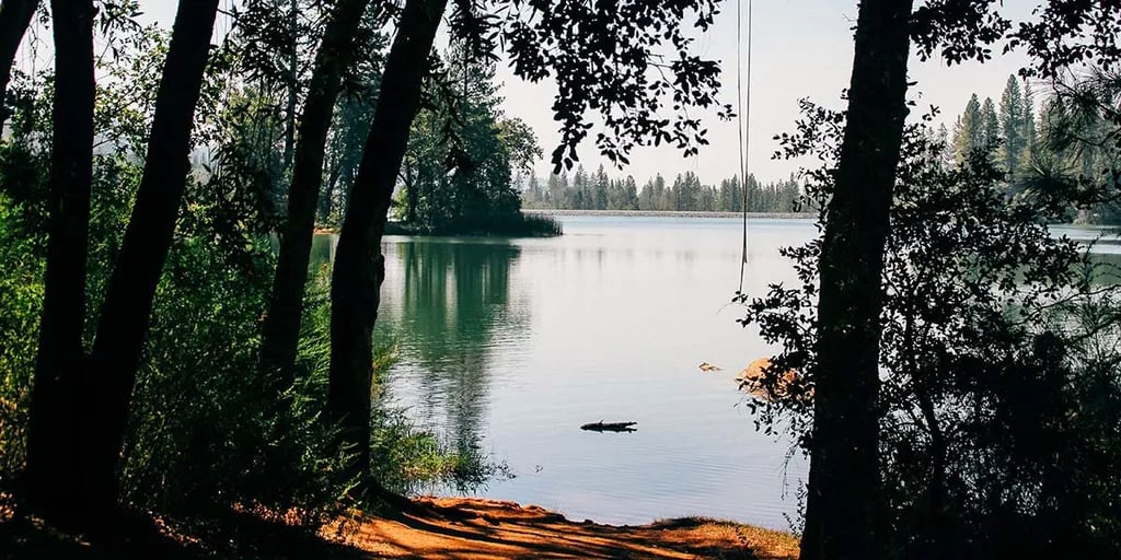 Lake Francis Resort gallery 2