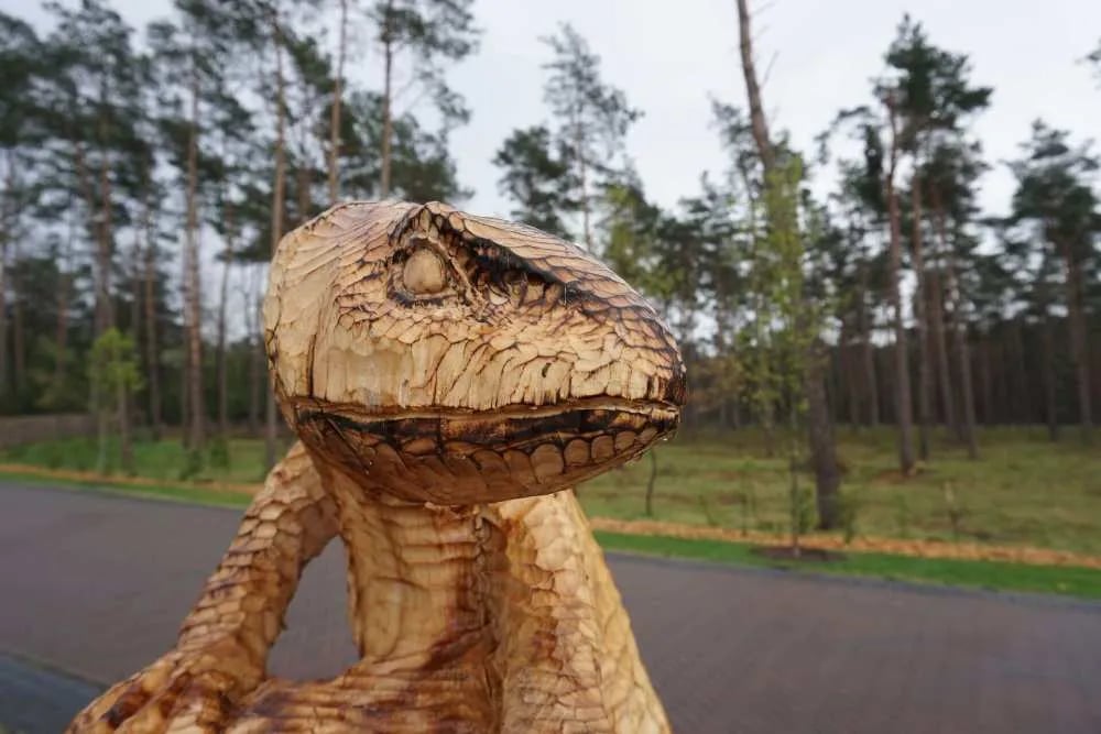 Camping De Wije Werelt gallery 3