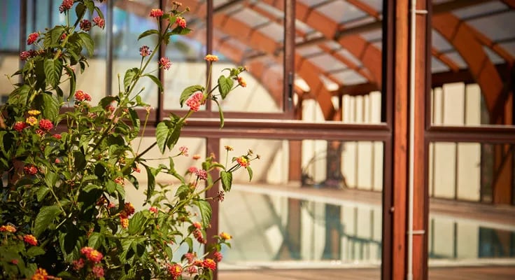 Domaine d’Anghione TOHAPI gallery 1