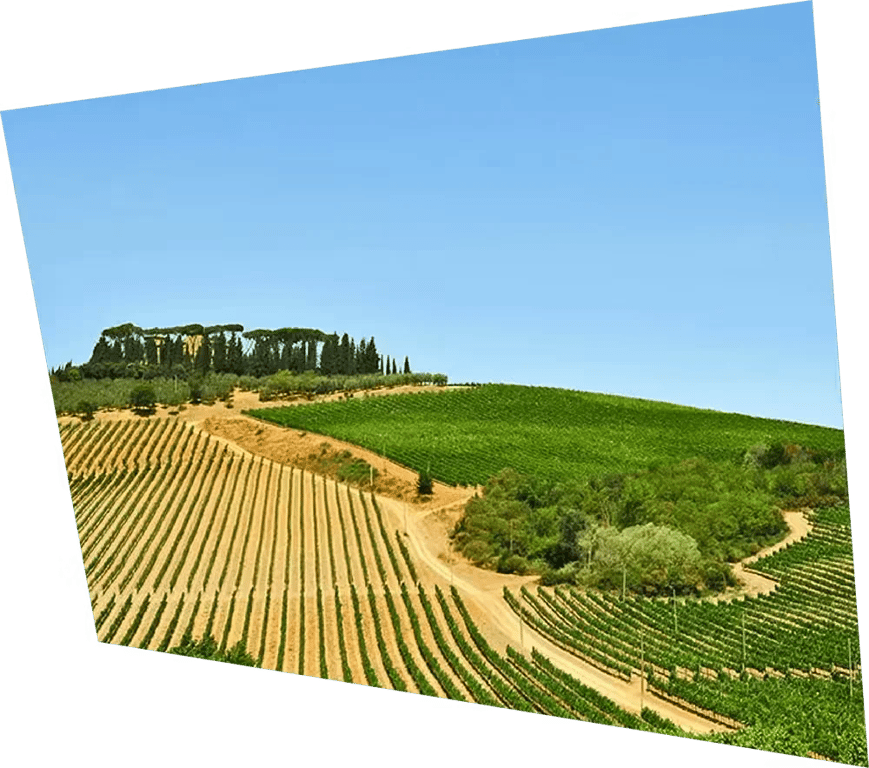 Camping Village – Park Albatros