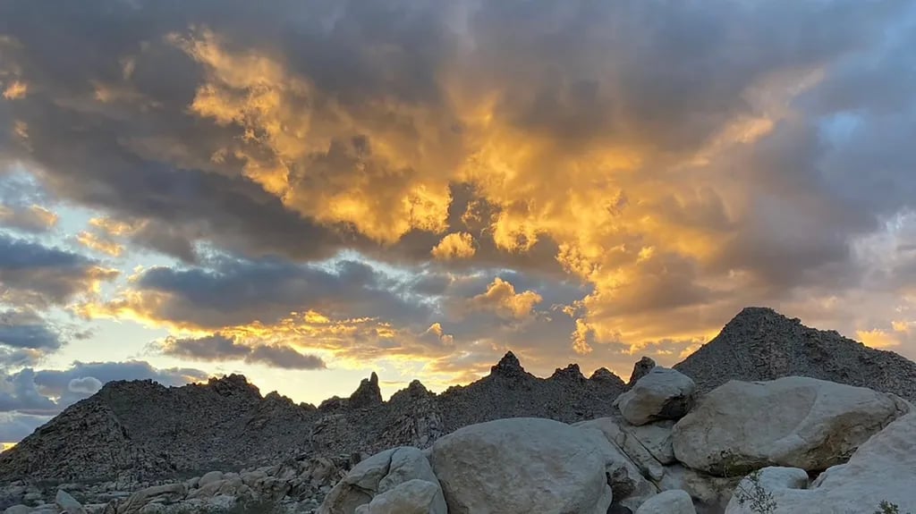 Mojave National Preserve gallery 2