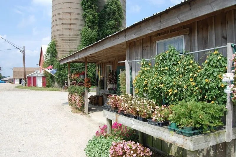 Sun Ridge Resort gallery 3