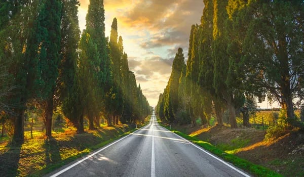 Camping Village Le Esperidi gallery 3