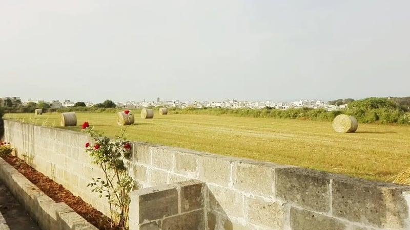 Oasy Park gallery 2