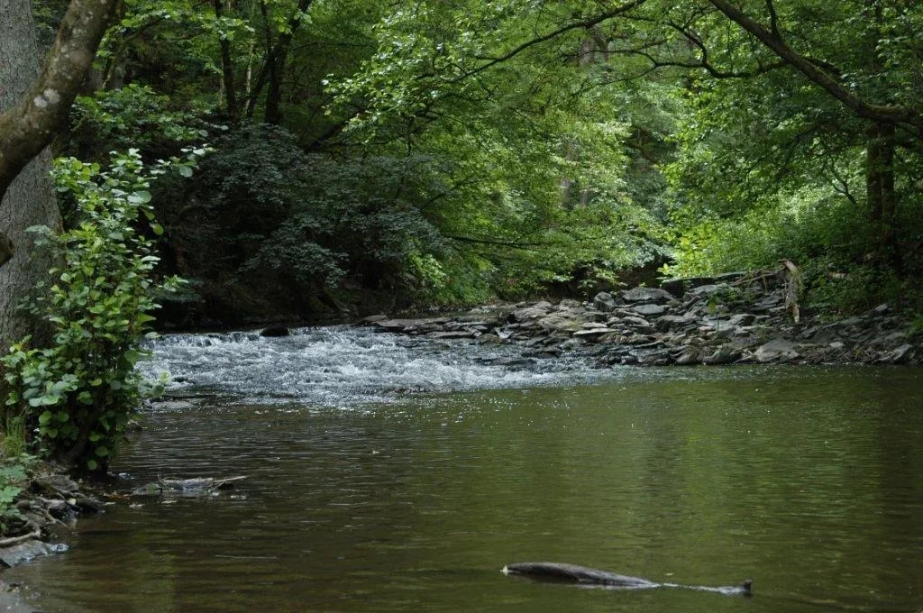 Campingplatz Burg Eltz