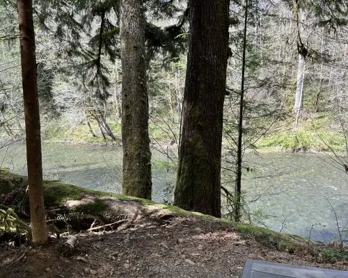 Dawleys Sol Duc River Campground gallery 3